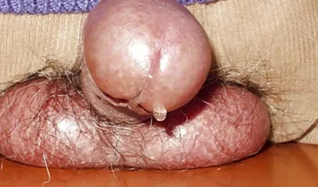Hart, schnell, anal, Sperma am freie pornofilme anschauen Anus