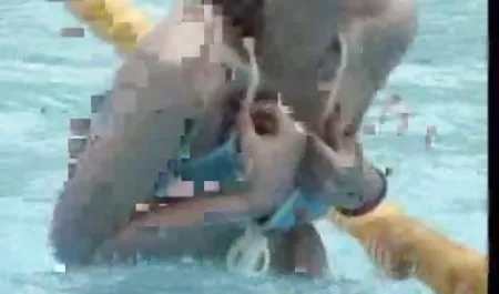 Nach einem groben Fick leckte er seine freie sexfilme in hd Wunden mit der Sprache seiner Frau