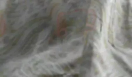 Die 18-jährige schelmische Mutter zeigte der Stiefmutter seine freie amateur pornofilme Würde